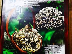 -山大王菌莊
