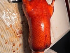 -大鸭梨烤鸭(望京店)