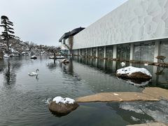 -罗红摄影艺术馆