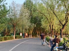 -丁香湖公园