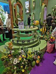 -北京嘉里大酒店·宴会厅婚宴·户外婚礼·生日宴