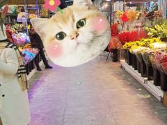 -大自然花鸟鱼虫市场