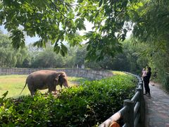 -西安秦岭野生动物园