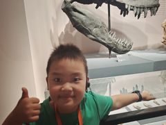 -自贡恐龙博物馆