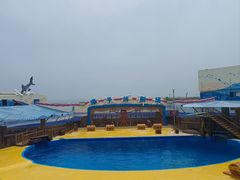 -海合安青岛极地海洋公园