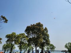 -漕湖湿地公园