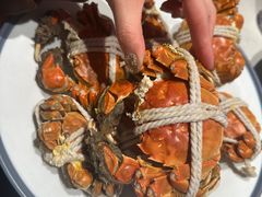 -杨氏青龙虾·羊蝎子(托乐嘉店)