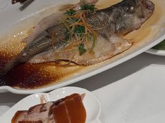 清蒸鲈鱼-大鸭梨烤鸭(枣园店)