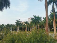 -南宁南湖公园