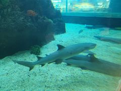 -鸿通城购物中心