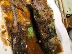 -小俩口烧烤东北菜(双井店)