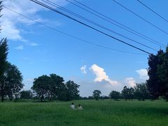 -汉长安城未央宫国家考古遗址公园