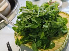 -名善山珍·野生菌汤锅(文殊院店)