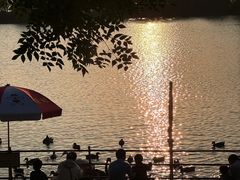 -艾溪湖湿地公园