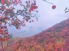 -周口店坡峰岭风景区