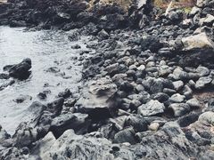 -龙头岩(Dragon Head Rock)