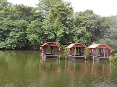 -侨美·唐荔园·40年地道粤菜