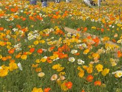-名花谷生态庄园