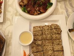 -金龙寨(龙城路店)