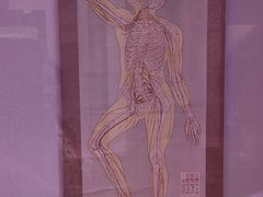 -广东中医药博物馆