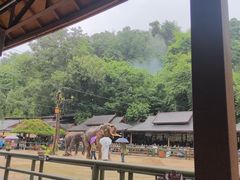 -野象谷景区