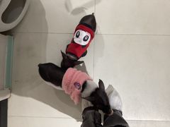 -怪兽屋·羊驼·猫咖·狗咖(俊华广场店)