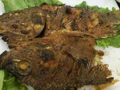 -阿布都新疆音乐美食城(长湖路店)