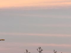-郑州大剧院