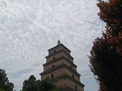 -大慈恩寺(大雁塔)