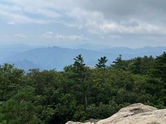 -牛背梁国家森林公园