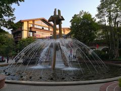 -巴伐利亚庄园福朋喜来登度假酒店-全日西餐厅