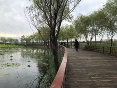-绿堤公园