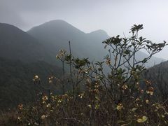 -鸡枕山