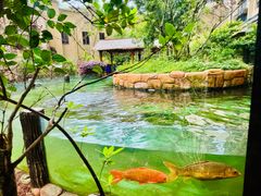 -忆江南·临江鱼馆