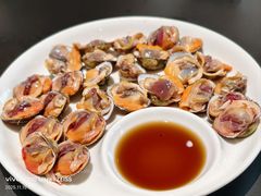 毛蚶-健眺小海鲜(临海后山店)