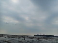 -仙人岛