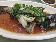 清蒸龙胆斑-鑫悦楼煎蟹·16年海鲜大排档