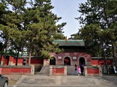 -磬锤峰森林公园
