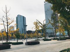 -百林公园-两江幸福广场