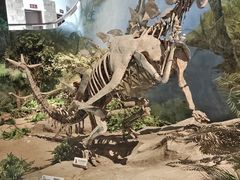-自贡恐龙博物馆
