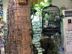 -丽江庭院之丽江往事(安定门店)