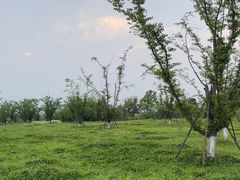 -良渚古城遗址公园