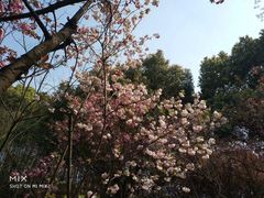 -白马涧龙池景区