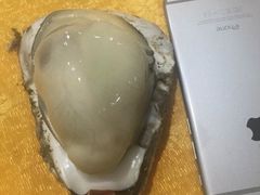 -蚝专家(北滘店)