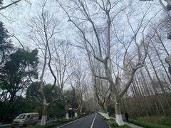 -西湖游船