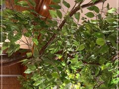 -蜜桃餐厅·伴山(湖滨商业街店)