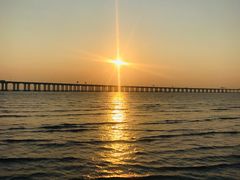 -宝安西湾红树林湿地公园