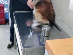 -申普宠物医院·眼科·心内科·影像科(普陀分院)