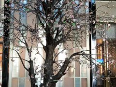 -成都安仁福朋喜来登酒店