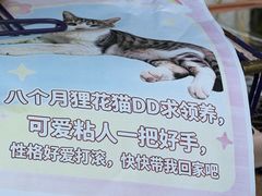 -瑞虹新天地月亮湾